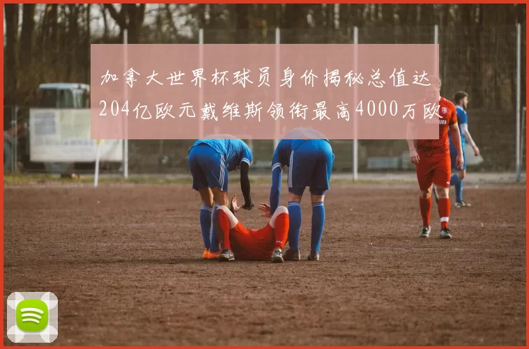 加拿大世界杯球员身价揭秘总值达204亿欧元戴维斯领衔最高4000万欧