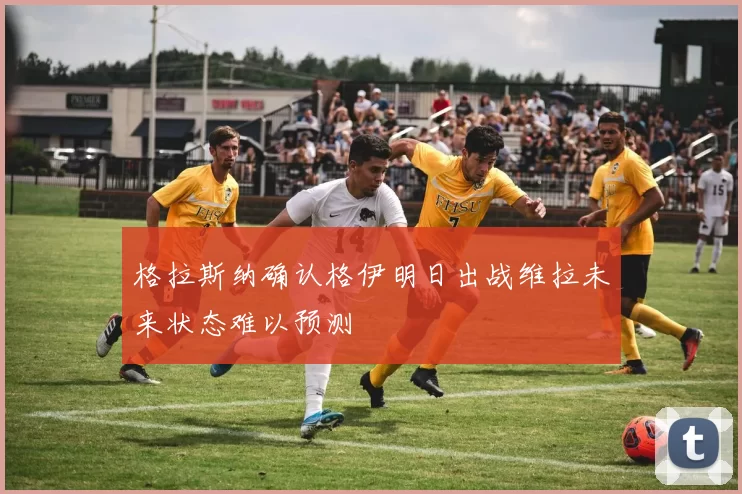 格拉斯纳确认格伊明日出战维拉未来状态难以预测