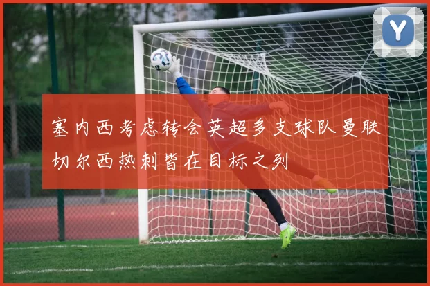 塞内西考虑转会英超多支球队曼联切尔西热刺皆在目标之列